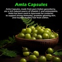 amla-capsules-60-organic-hair-growth-vit-4.jpg