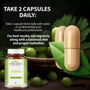 amla-capsules-60-organic-hair-growth-vit-5.jpg