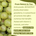 usda-organic-amla-powder-amla-fruit-powd-2.jpg
