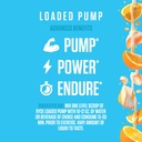 ryse-loaded-pump-pre-workout-powder-oran-4.jpg