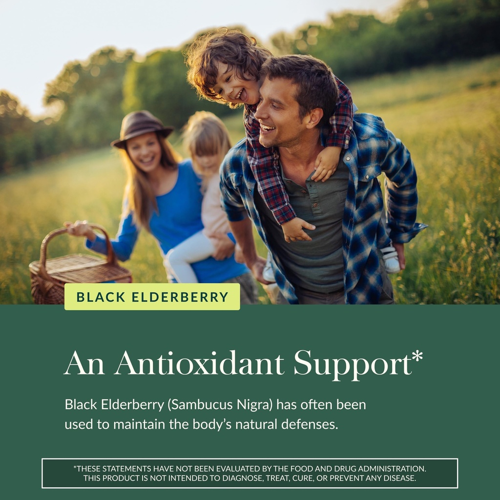 gaia-herbs-black-elderberry-sambucus-nig-5.jpg