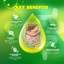 gut-guardian-pro-official-digestive-supp-4.jpg