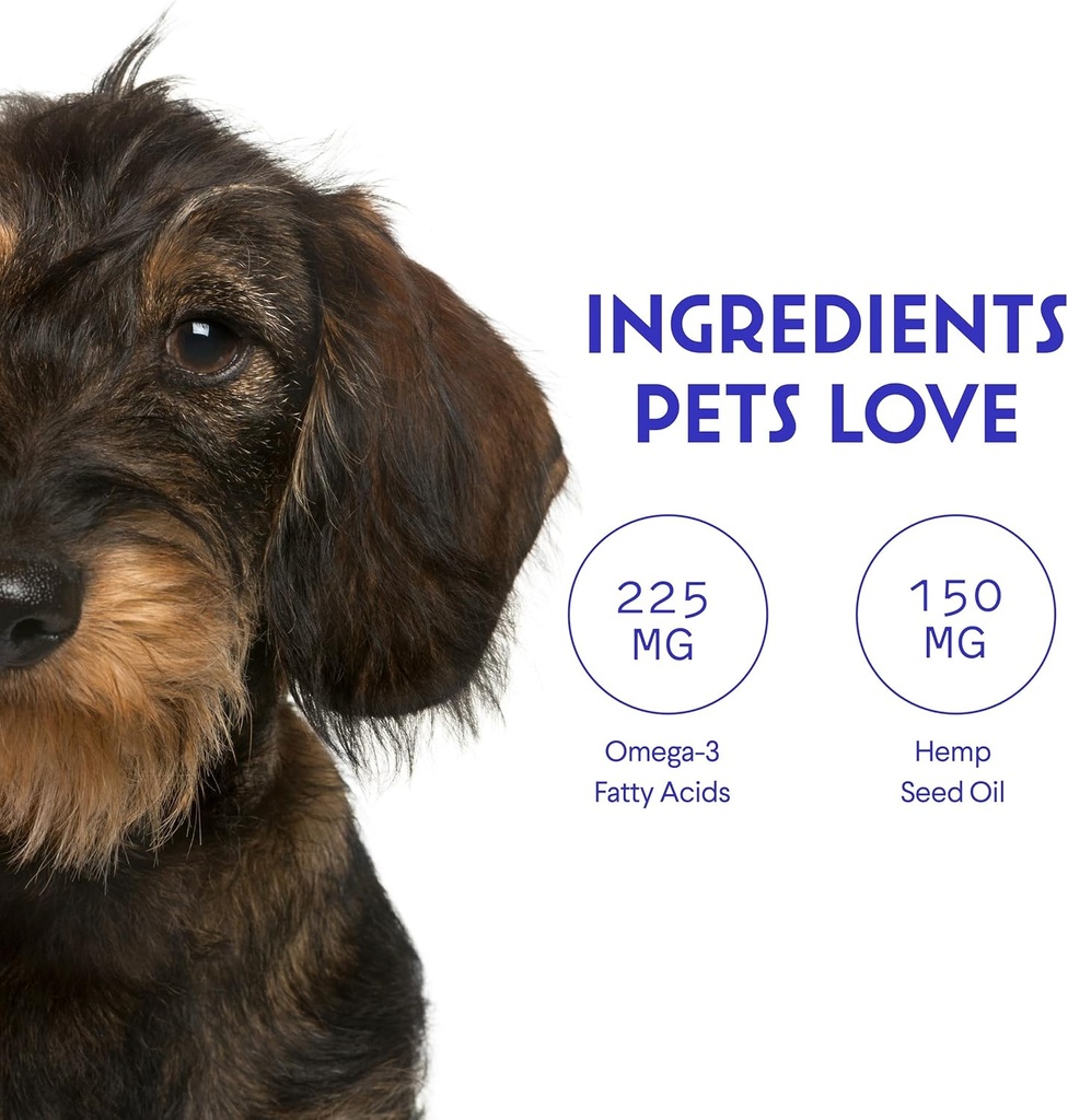 wonder-paws-organic-hemp-oil-for-dogs-90-5.jpg
