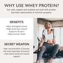alaya-naturals-grass-fed-whey-protein-po-4.jpg
