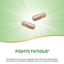 nature-s-way-asian-ginseng-fights-fatigu-3.jpg
