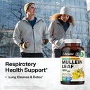 bio-krauter-mullein-capsules-1200-mg-250-2.jpg
