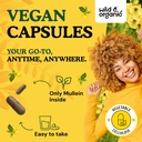 wild-organic-mullein-capsules-mullein-le-4.jpg