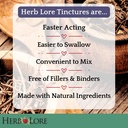 herb-lore-organic-fennel-seed-tincture-s-4.jpg