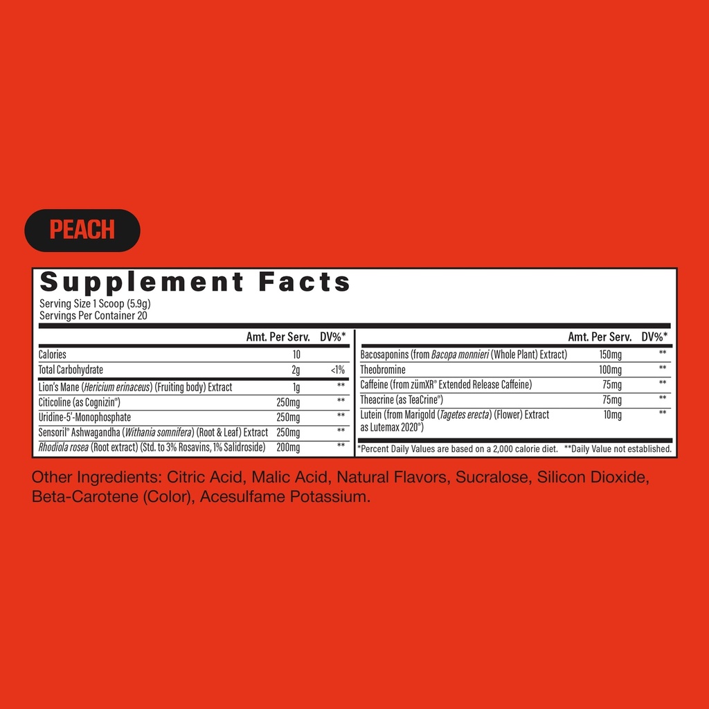 raw-steady-state-low-stim-nootropic-pre--5.jpg