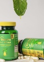 peppermint-oil-for-bloating-gas-glp-1-di-6.jpg
