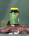 peppermint-oil-for-bloating-gas-glp-1-di-2.jpg