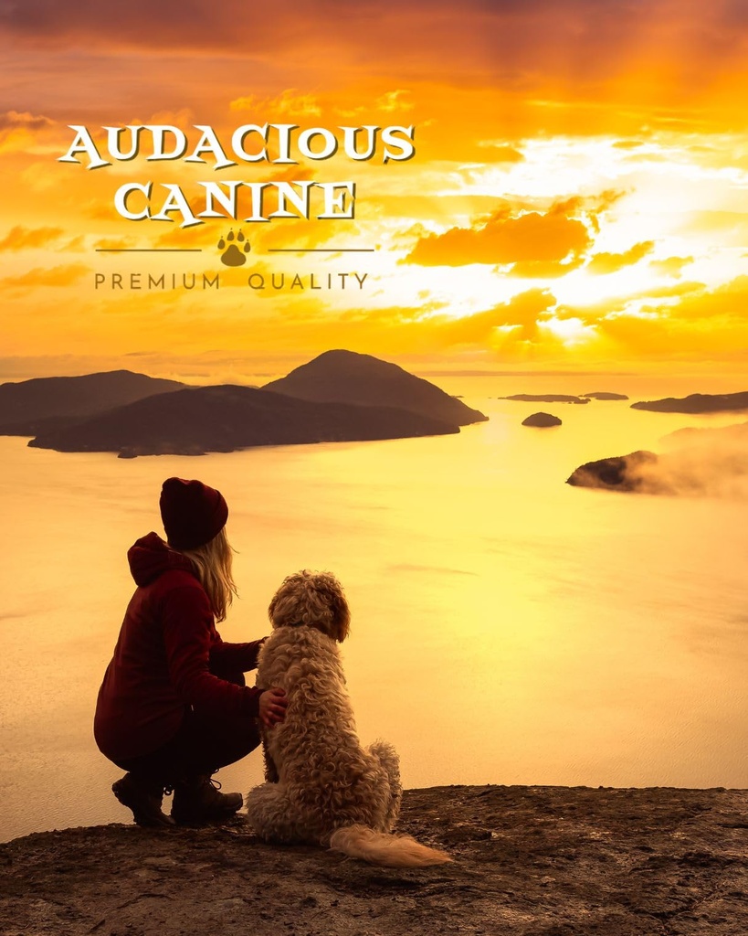 audacious-canine-ketone-superfood-powder-5.jpg