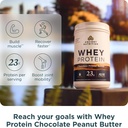 ancient-nutrition-grass-fed-whey-protein-6.jpg