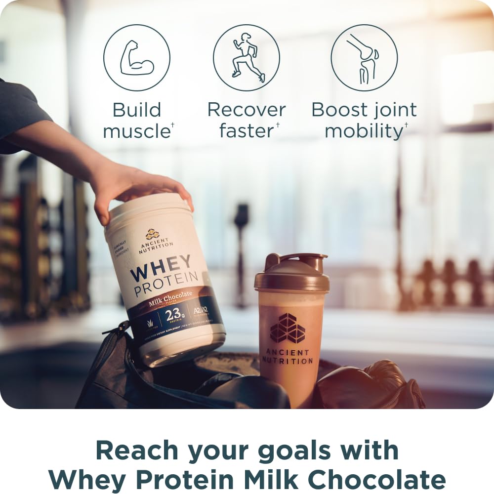 ancient-nutrition-grass-fed-whey-protein-3.jpg