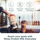 ancient-nutrition-grass-fed-whey-protein-3.jpg