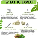 moringa-capsules-90-capsules-800mg-non-g-5.jpg