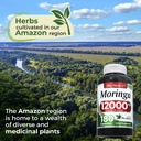 fito-medic-s-lab-moringa-leaf-capsules-m-6.jpg