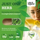 wild-organic-bitter-melon-capsules-500-m-5.jpg