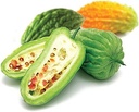 gabby-insul-care-bitter-melon-natural-he-2.jpg