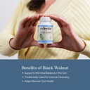 eclectic-herb-black-walnut-capsules-inte-4.jpg
