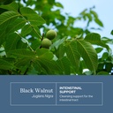 eclectic-herb-black-walnut-capsules-inte-3.jpg
