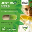 wild-organic-horsetail-herb-capsules-800-5.jpg