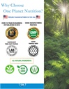 one-planet-nutrition-nano-ginkgo-biloba--5.jpg