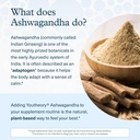 youtheory-ashwagandha-vegetarian-energy--4.jpg