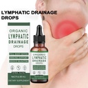 lymphatic-drainage-drops-lymphatic-suppo-2.jpg