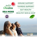 lifeable-irish-sea-moss-gummies-suppleme-3.jpg