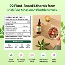 pella-nutrition-sea-moss-with-bladderwra-6.jpg