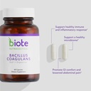 biote-nutraceuticals-bacillus-coagulans--2.jpg