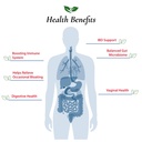foods-for-gut-bacillus-coagulans-probiot-4.jpg