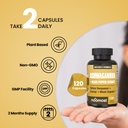 noomost-lion-s-mane-ginkgo-biloba-bundle-6.jpg