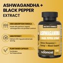 noomost-lion-s-mane-ginkgo-biloba-bundle-5.jpg