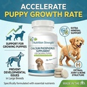 calcium-phosphorus-for-dogs-supplement-p-4.jpg