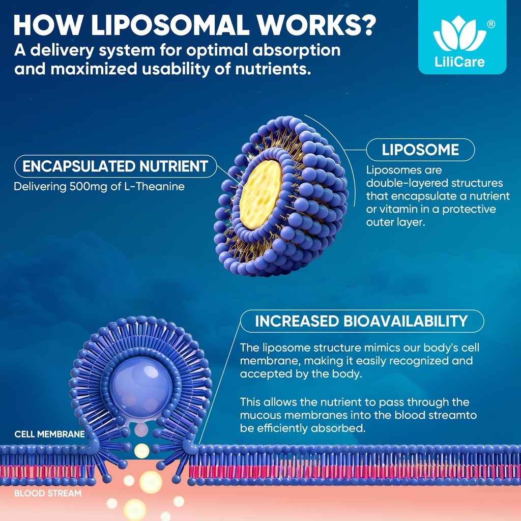 liposomal-l-theanine-gummies-500mg-melat-6.jpg