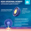liposomal-l-theanine-gummies-500mg-melat-6.jpg
