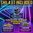 next-gen-mushroom-gummies-with-ashwagand-3.jpg