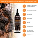 naturealm-lions-mane-reishi-chaga-mushro-5.jpg