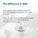 north-american-herb-spice-black-seed-oil-5.jpg