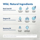 north-american-herb-spice-black-seed-oil-3.jpg