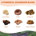 mushroom-supplement-complex-lions-mane-r-2.jpg