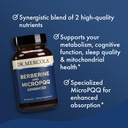 dr-mercola-berberine-and-mircopqq-advanc-4.jpg