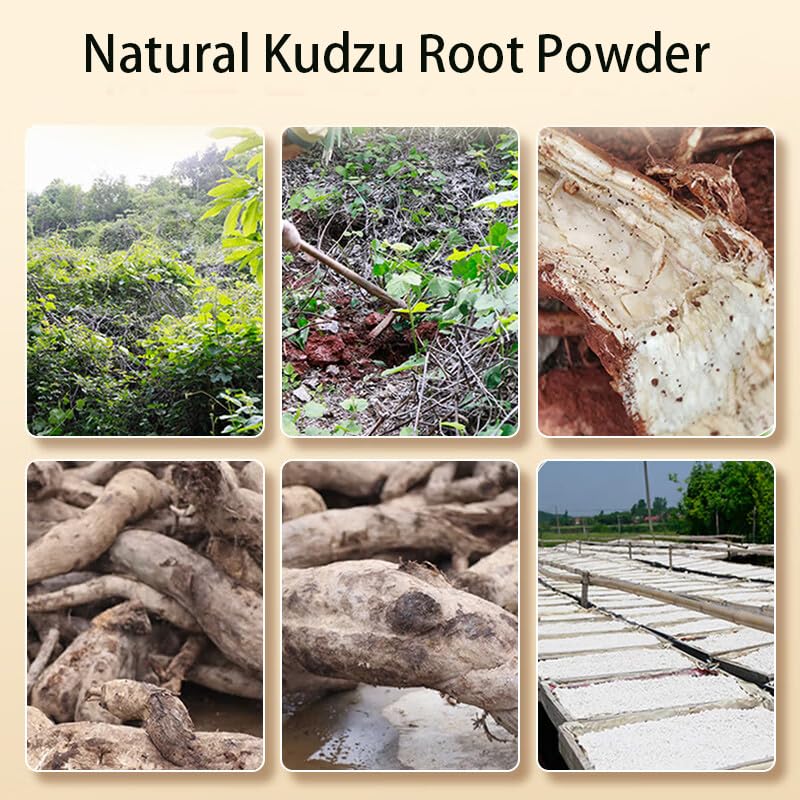 kudzu-root-powder-pure-and-natural-chine-2.jpg