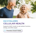 dr-emil-nutrition-nad-boost-nicotinamide-4.jpg