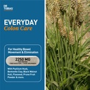 dr-tobias-colon-health-bundle-with-colon-3.jpg