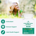 spliferikou-ecklonia-cava-extract-800mg--5.jpg