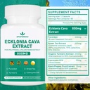 spliferikou-ecklonia-cava-extract-800mg--2.jpg