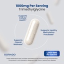 tmg-trimethylglycine-supplement-1-000mg--4.jpg